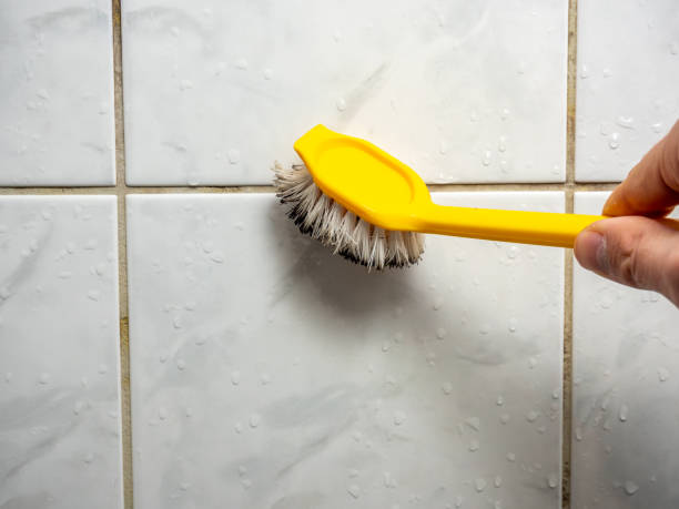 Best Mold Inspection  in Hayward, WI